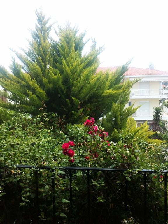 Charming Maisonette Polychrono Exterior photo